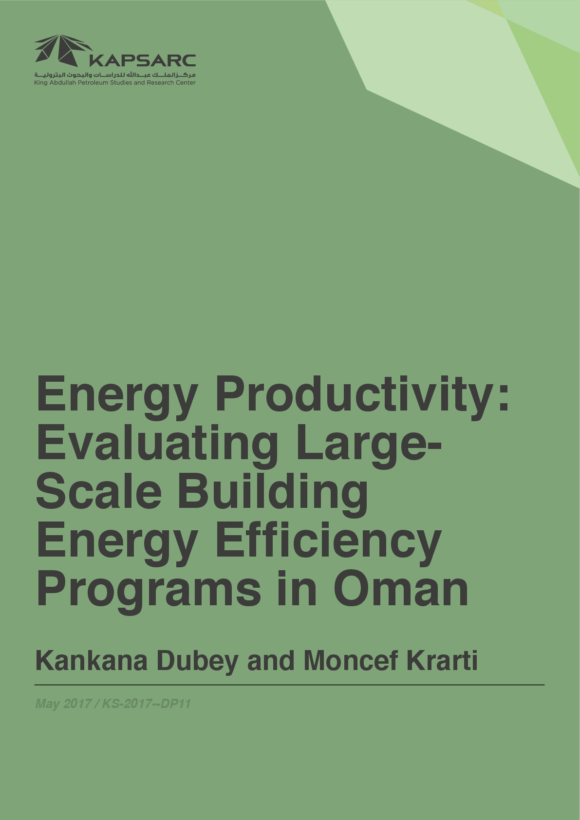 Energy Productivity: Evaluating Large-Scale Building Energy Efficiency Programs in Oman
