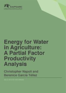 Energy for Water in Agriculture: A Partial Factor Productivity Analysis