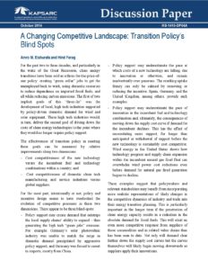 Changing Competitive Landscape: Transition Policy’s Blind Spots