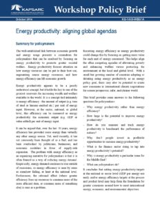 Energy productivity: aligning global agendas