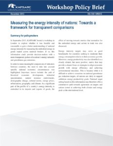 Measuring the energy intensity of nations: Towards a framework for transparent comparisons