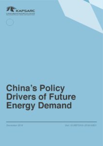China’s Policy Drivers of Future Energy Demand