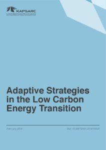 Adaptive Strategies in the Low Carbon Energy Transition