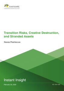 Transition Risks, Creative Destruction, and Stranded Assets