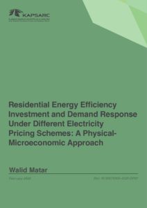 Residential Energy Efficiency Investment and Demand Response Under Different Electricity Pricing Schemes: A Physical- Microeconomic Approach
