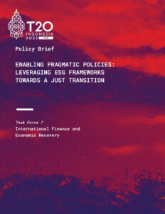 تمكين السياسات العملية: الاستفادة من الأطر البيئية والاجتماعية والحوكمة لتحقيق عملية تحول عادلة