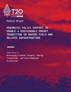 الدعم السياسي العملي لتمكين تحولات الطاقة المستدامة في مجال الوقود البحري والبنية التحتية ذات الصلة
