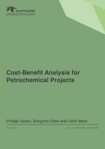 Cost‒Benefit Analysis for Petrochemical Projects