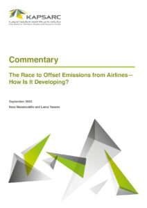 The Race to Offset Emissions from Airlines— How Is It Developing?