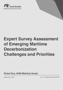 Expert Survey Assessment of Emerging Maritime Decarbonization Challenges and Priorities