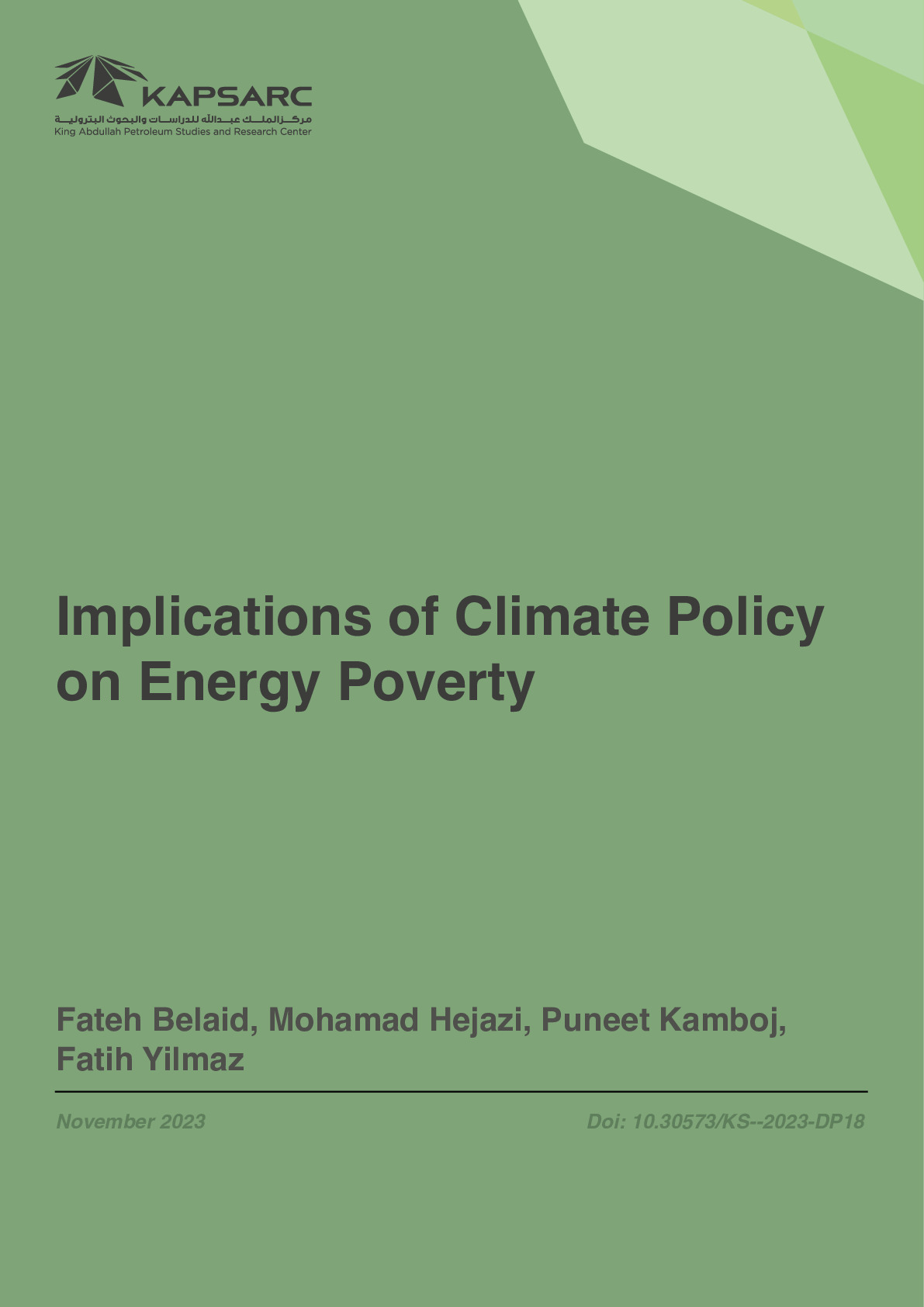 Implications of Climate Policy on Energy Poverty