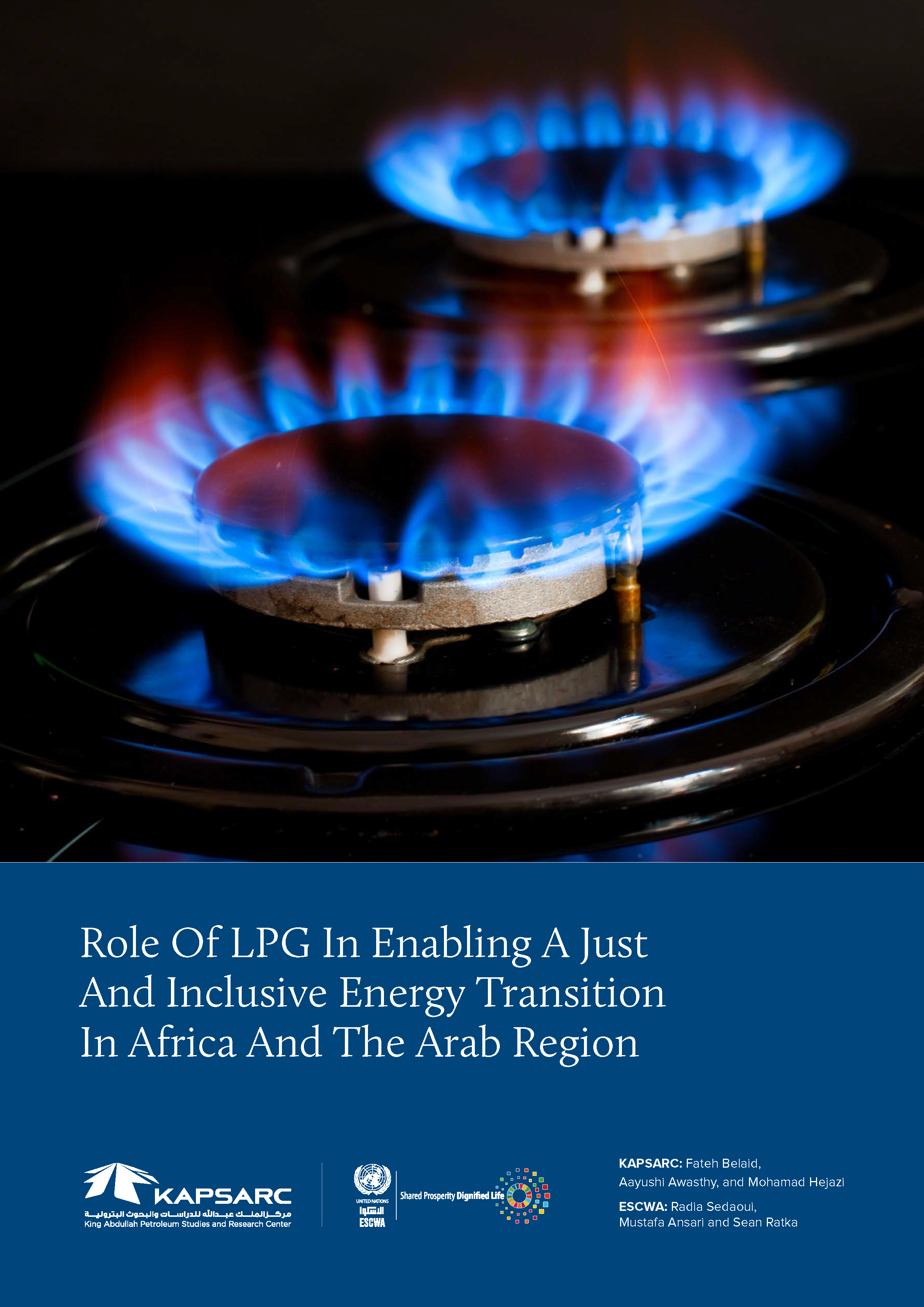 Role Of LPG In Enabling A Just And Inclusive Energy Transition In Africa And The Arab Region