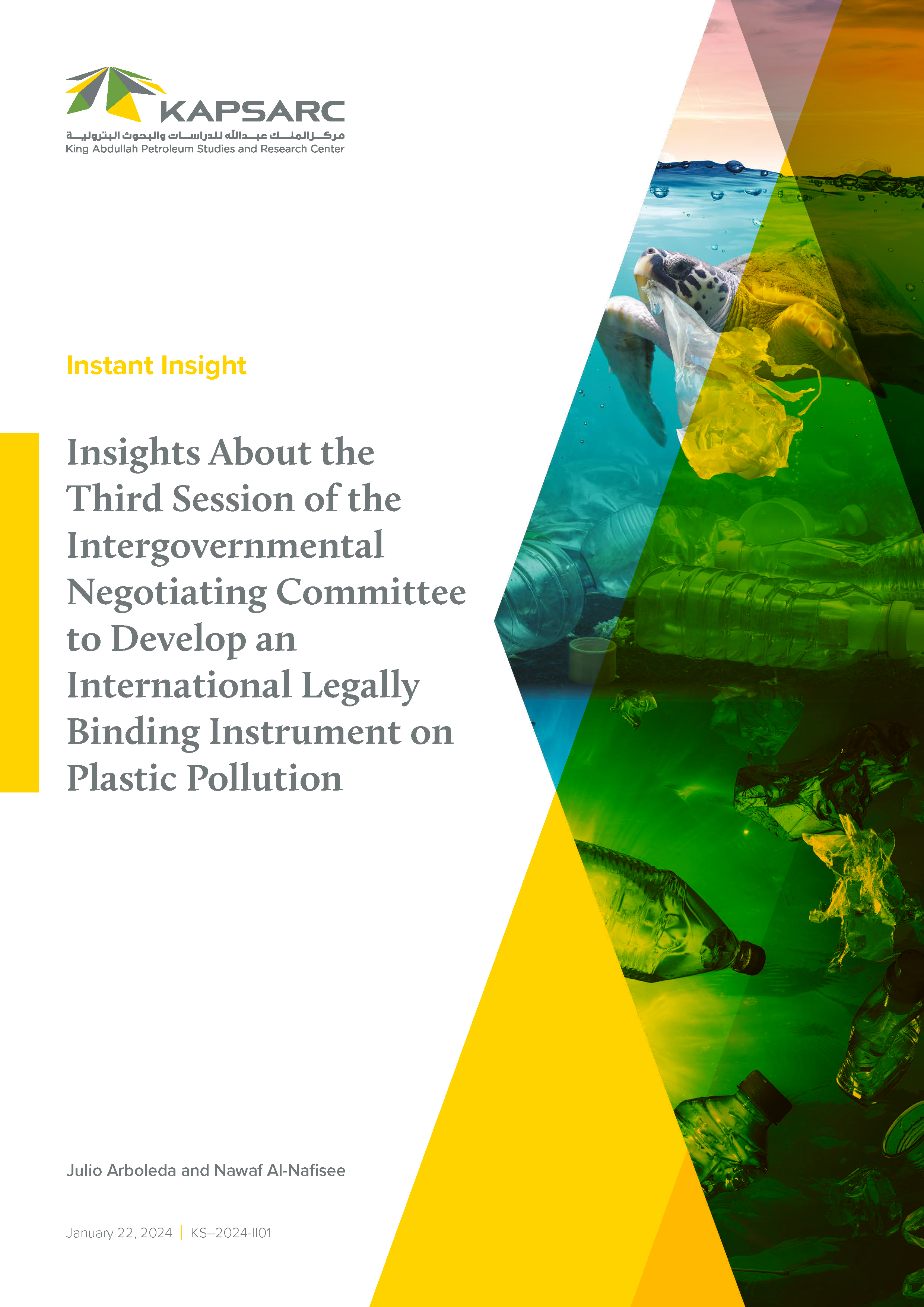 Insights About the Third Session of the Intergovernmental Negotiating Committee to Develop an International Legally Binding Instrument on Plastic Pollution