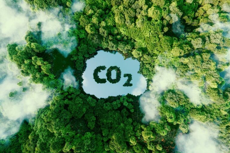 الطاولة المستديرة رفيعة المستوى لأسوق الكربون حول أسواق الكربون والاستثمار في الاقتصاد الدائري للكربون