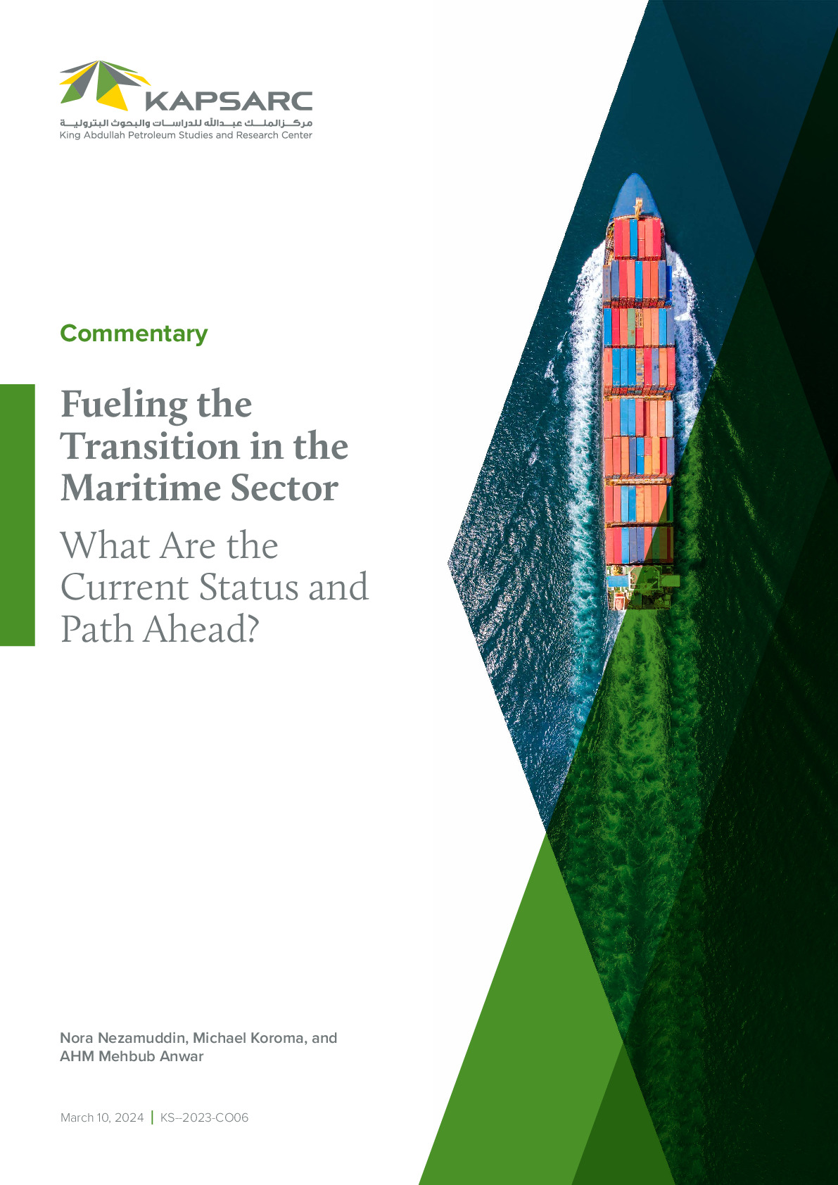 Fueling the Transition in the Maritime Sector: What Are the Current Status and Path Ahead?