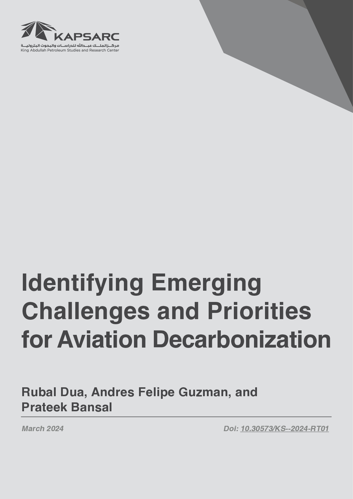 Identifying Emerging Challenges and Priorities for Aviation Decarbonization