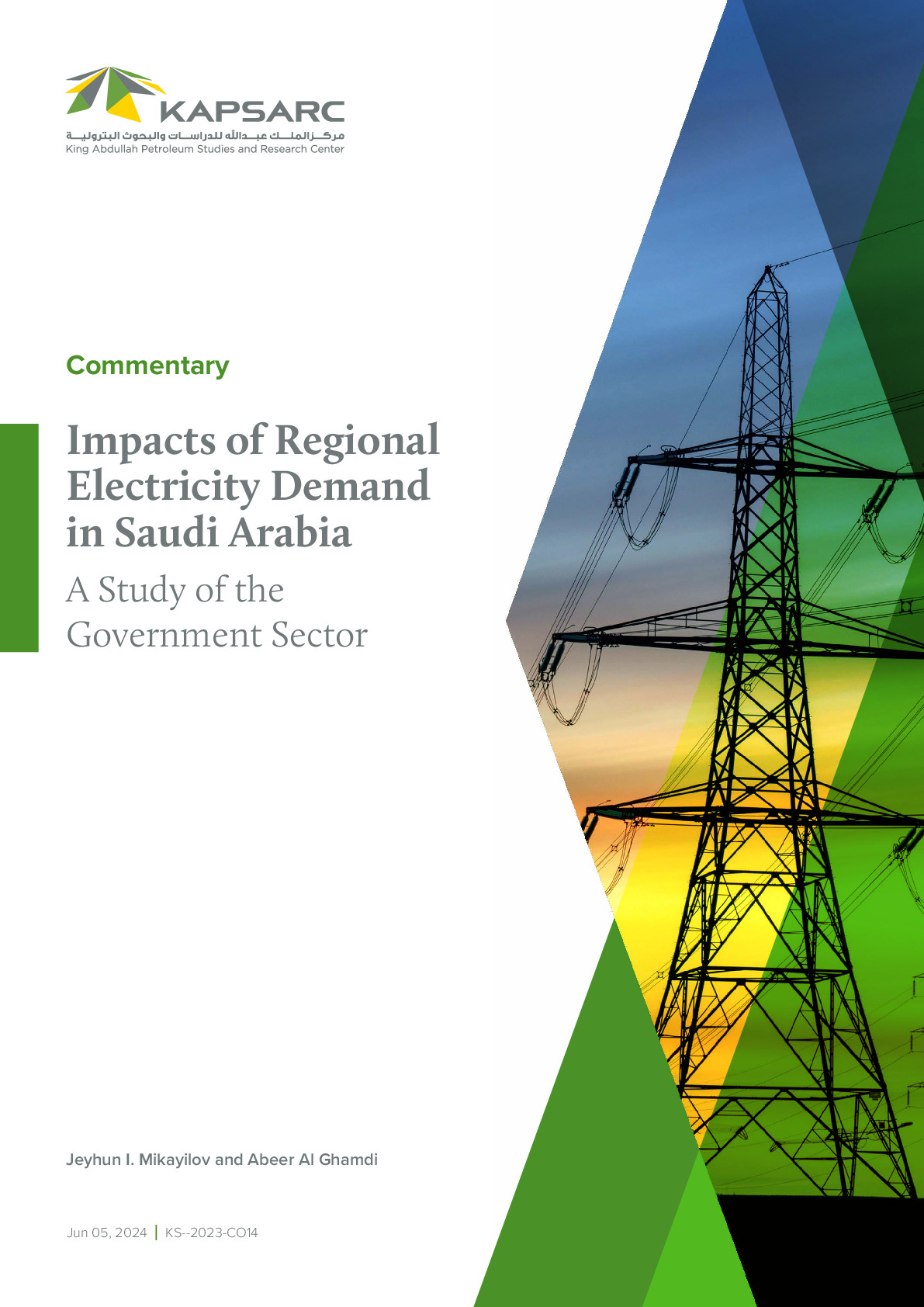 Impacts of Regional Electricity Demand in Saudi Arabia A Study of the Government Sector
