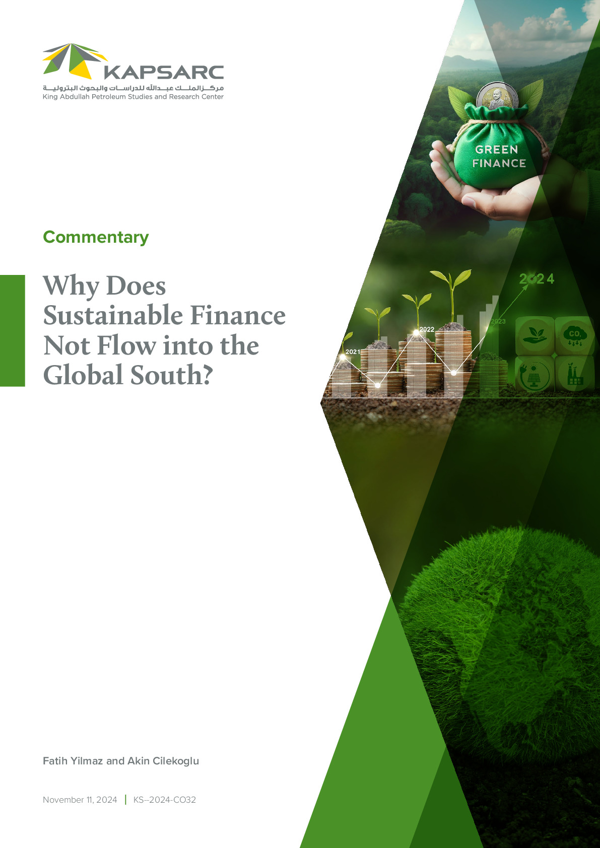 Why Does Sustainable Finance Not Flow into the Global South?