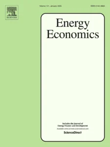 Macroeconomic and Sectoral Effects of Natural Gas Price: Policy Insights from a Macroeconometric Model