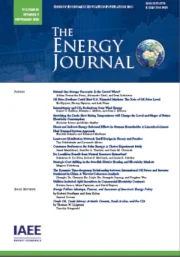 The Role of the Petrochemical Sector’s Exports in the Diversification of the Saudi Economy. A Scenario Analysis of the Foreign and Domestic Price Shocks