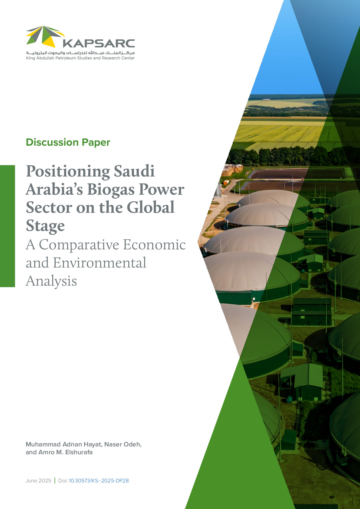 Positioning Saudi Arabia’s Biogas Power Sector on the Global Stage: A Comparative Economic and Environmental Analysis